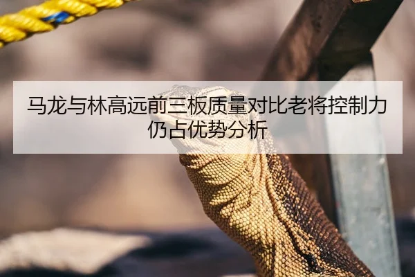 马龙与林高远前三板质量对比老将控制力仍占优势分析