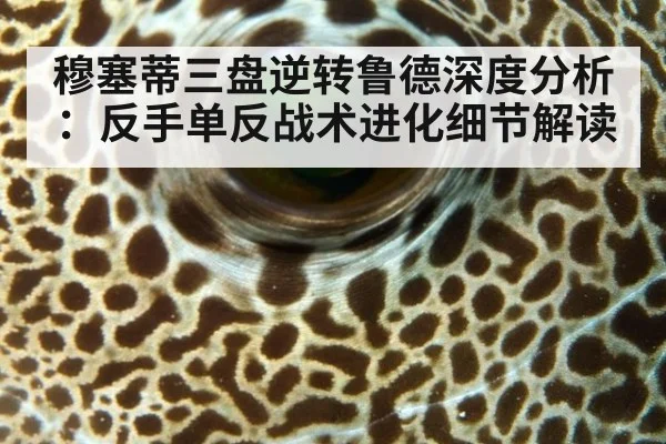 穆塞蒂三盘逆转鲁德深度分析：反手单反战术进化细节解读
