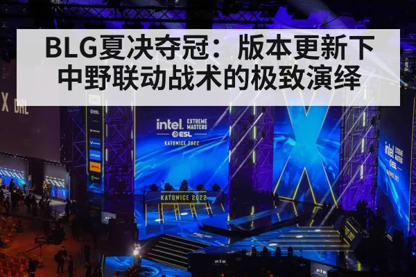 BLG夏决夺冠：版本更新下中野联动战术的极致演绎