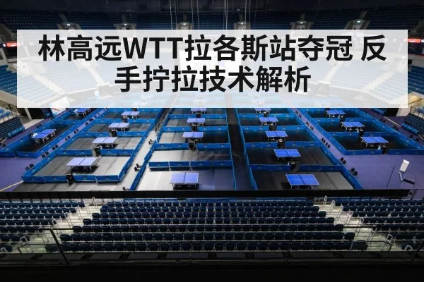 林高远WTT拉各斯站夺冠 反手拧拉技术解析