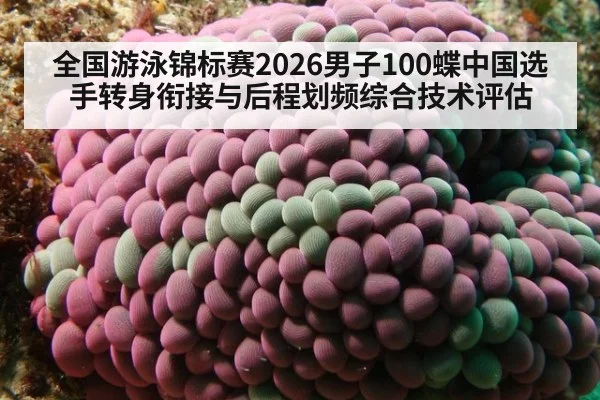 全国游泳锦标赛2026男子100蝶中国选手转身衔接与后程划频综合技术评估